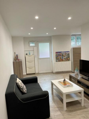 Loft ravissant à 5 mn de la Basilique Notre Dame de Fourvière